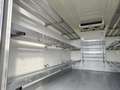 Iveco Daily 35C14 BTor 2.3 HPT PM-RG Cabinato FRIGO FRCX -20° Blanc - thumbnail 11