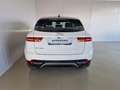 Jaguar E-Pace 2.0D I4 163 CV AWD Auto S *AUTOCARRO* Bianco - thumbnail 7