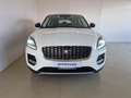 Jaguar E-Pace 2.0D I4 163 CV AWD Auto S *AUTOCARRO* Bianco - thumbnail 8