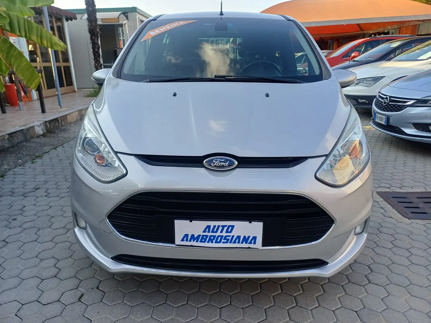 Ford B-Max 1.0 ecoboost Business Titanium 100cv E6 Gris - 2