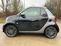 smart forTwo ELECTRIQUE Cabrio EQ Brabus Style Navi Camera Jant Noir - thumbnail 15