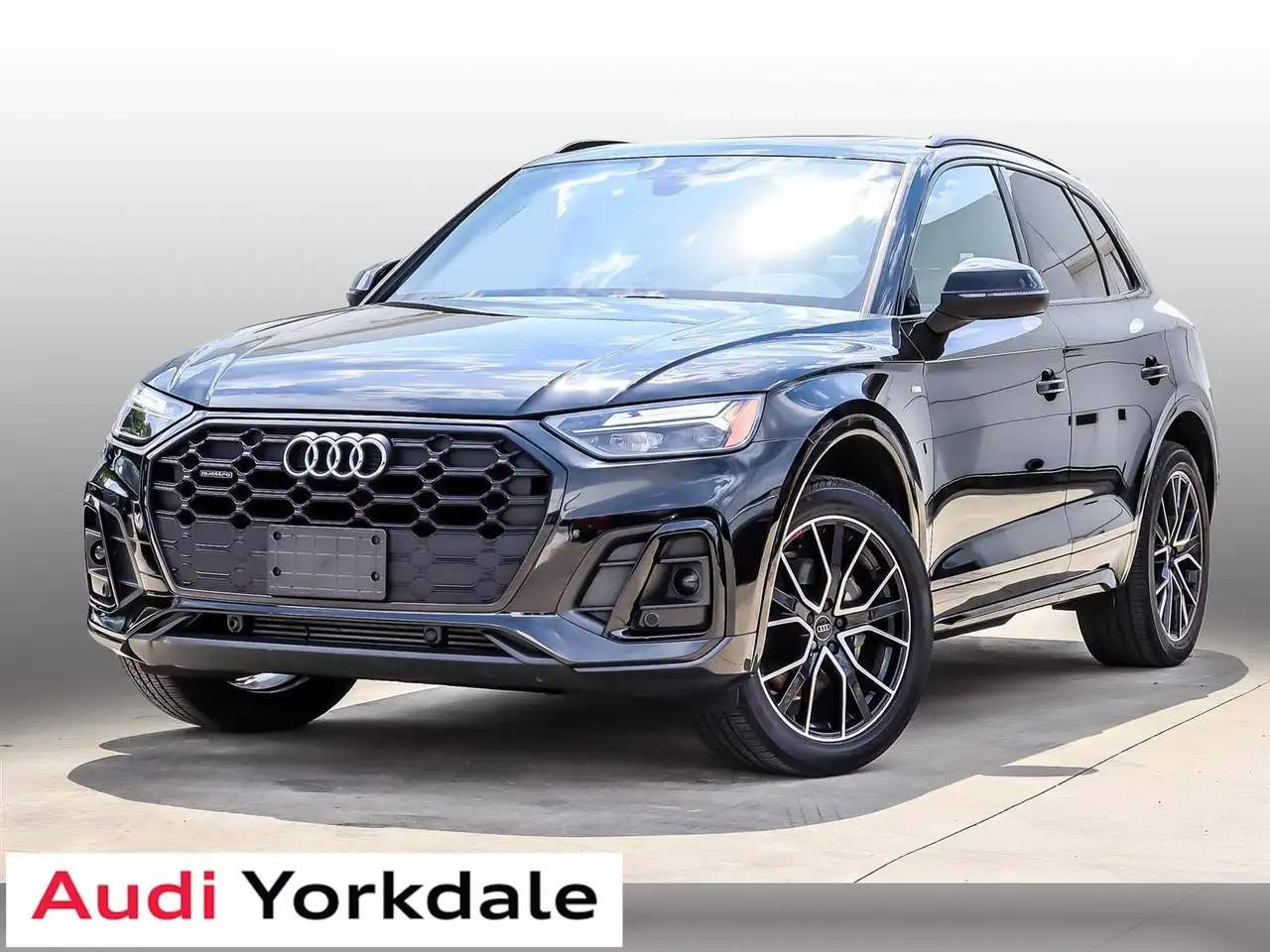 Audi Q5 fotografie Audi Q5