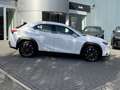 Lexus UX 300e Business line Pro 54 kWh NL-AUTO LEDER STOELVERWAR Wit - thumbnail 2
