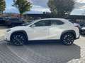 Lexus UX 300e Business line Pro 54 kWh NL-AUTO LEDER STOELVERWAR Wit - thumbnail 6