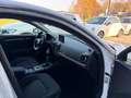 Audi A3 SPB 30 1.6 TDI S tronic ANCHE PER NEOPATENTATI Bianco - thumbnail 14