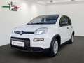 Fiat Panda 4x2 FireFly Hybrid 70 Weiß - thumbnail 1