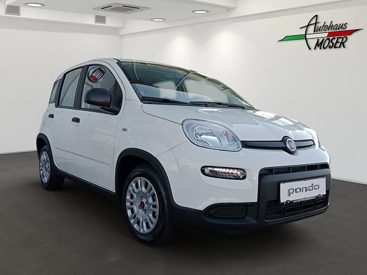 Fiat Panda 4x2 FireFly Hybrid 70 Weiß - 2