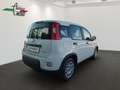 Fiat Panda 4x2 FireFly Hybrid 70 Weiß - thumbnail 3