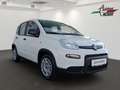 Fiat Panda 4x2 FireFly Hybrid 70 Weiß - thumbnail 2