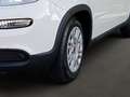 Fiat Panda 4x2 FireFly Hybrid 70 Weiß - thumbnail 6
