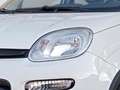 Fiat Panda 4x2 FireFly Hybrid 70 Weiß - thumbnail 5