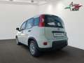 Fiat Panda 4x2 FireFly Hybrid 70 Weiß - thumbnail 4