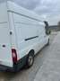 Ford Transit FT 300 L Variobus 4.36 Trend Weiß - thumbnail 2