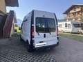 Renault Trafic L1H2  Individual Camperausbau Weiß - thumbnail 6