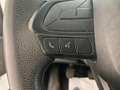 Iveco Daily Chasis Cabina 35C16 3750 160cv PLATAFORMA EL Blanco - thumbnail 29