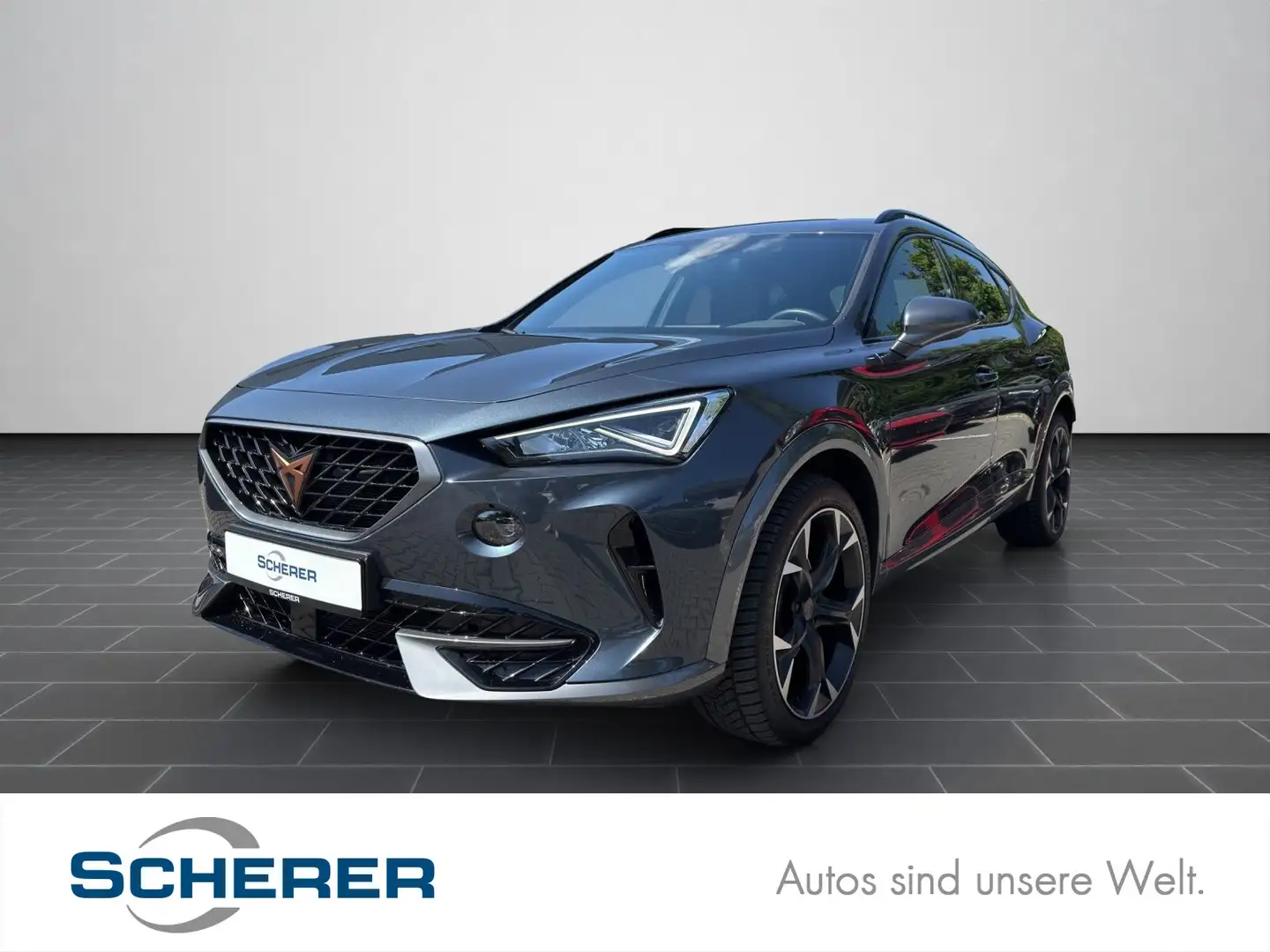 CUPRA Formentor 2.0 TDI 4Drive NAVI AHK ACC KAMERA Gris - 1