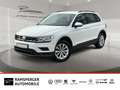 Volkswagen Tiguan 1.5 TSI Trendline GRA LED Navi Keyless SH Weiß - thumbnail 1