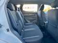 Nissan Qashqai 1.5 dci Business 115cv Bianco - thumbnail 6