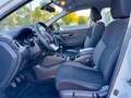 Nissan Qashqai 1.5 dci Business 115cv Bianco - thumbnail 4
