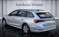 Skoda Octavia Ambition 2.0 TDI Erstbesitz MwSt. Mod. 2023 Silber - thumbnail 8
