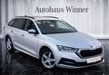 Skoda Octavia Ambition 2.0 TDI Erstbesitz MwSt. Mod. 2023 Silber - thumbnail 5