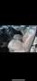 Audi 80 Audi 80 B4 CS3 Automatik 2,8l 174 PS Beige - thumbnail 7