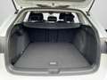 Volkswagen Golf Variant Golf VIII Variant Style 1,5 l eTSI DSG LED/NAVI/ Weiß - thumbnail 15