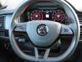 Skoda Kodiaq RS 4x4 2.0TDI 176kW  360° el. HK SHZ+ Синій - thumbnail 14