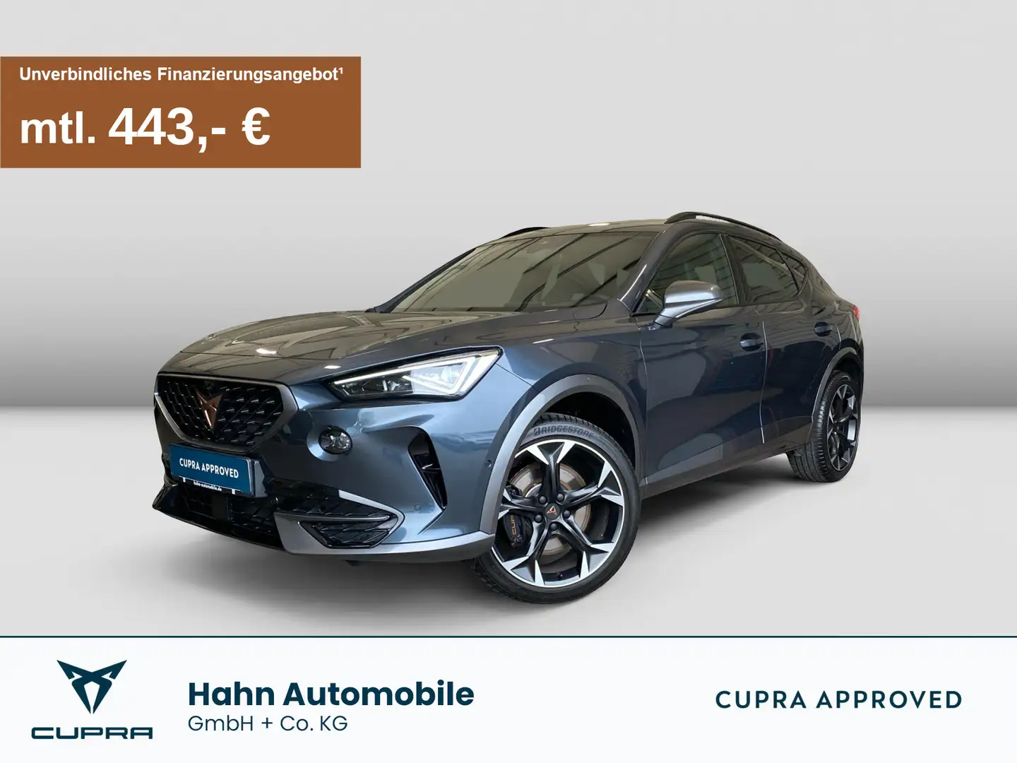 CUPRA Formentor VZ 2.0 TSI 4Drive DSG Navi Kamera ACC Grau - 1