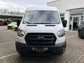 Ford Transit Kasten 2.0 TDCi L2 Trend *AHK*Spurh.* Bianco - thumbnail 3