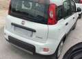 Fiat Panda Panda 1.0 firefly hybrid City Life s Blanc - thumbnail 2