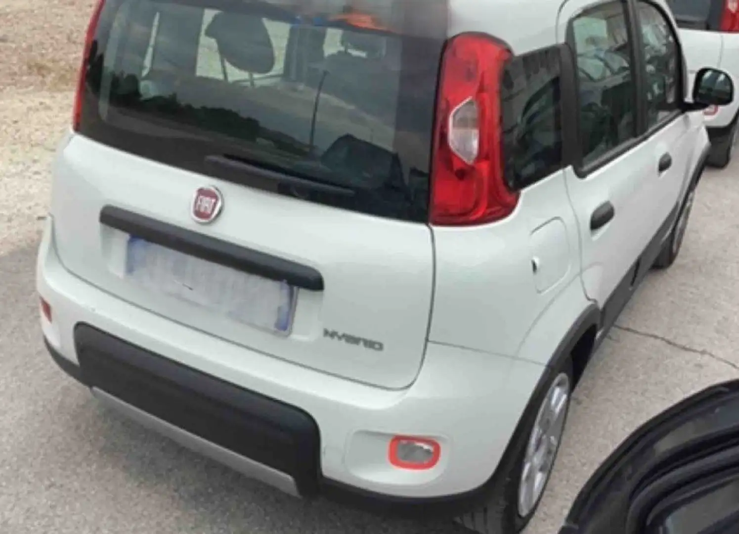 Fiat Panda Panda 1.0 firefly hybrid City Life s Blanc - 2