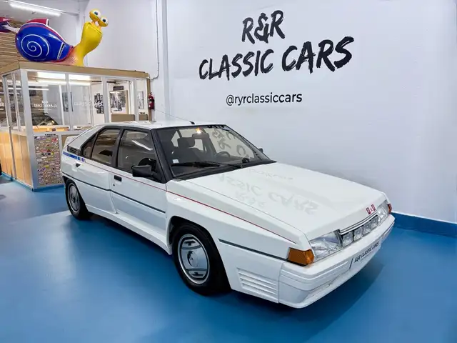 Citroen BX Berlina Manual de 5 Puertas