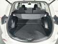 Toyota RAV 4 2,5 Hybrid Active 4WD Aut. Weiß - thumbnail 12