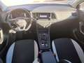 SEAT Ateca 2.0TDI CR S&S Reference XM 116 Blanco - thumbnail 6