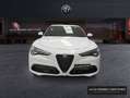 Alfa Romeo Stelvio 2.2 Diésel 154kW (210CV)  Q4 Veloce Blanco - thumbnail 2