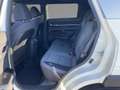 SsangYong Torres 1.5 T-GDI Amber *SpurH*Kamera*LED* Alb - thumbnail 5