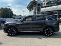 Kia Sorento SORENTO 2.2D AWD AUTO. PLATINUM PREMIUM GLASDACH Grau - thumbnail 9