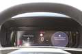 Fiat Doblo DOBLO BLUEHDi 130PS Blu/Azzurro - thumbnail 9