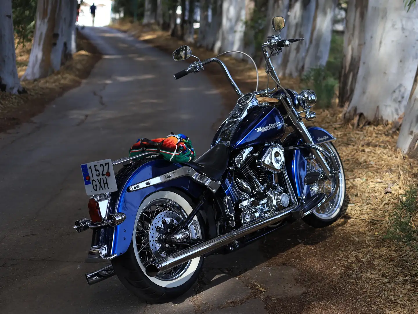 Harley-Davidson Heritage Softail Negro - 2