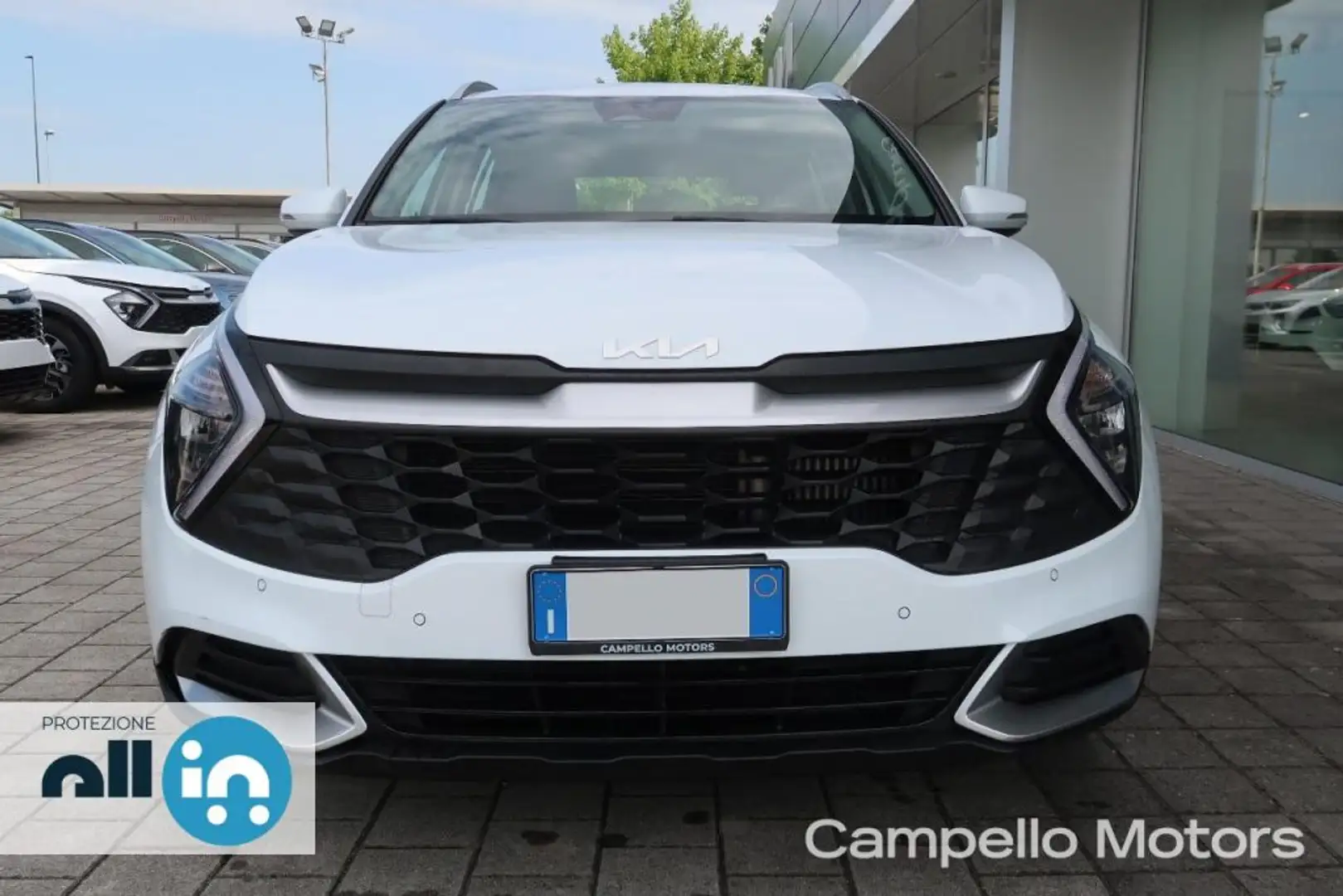 Kia Sportage Sportage 1.6 TGDi MHEV DCT Business Bianco - 2