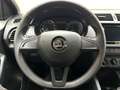 Skoda Fabia 1.0 TSI Cool Plus KLIMA*SHZ*PDC*DAB*16" Grau - thumbnail 13