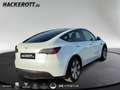Tesla Model Y Basis RWD 255kw 360°Kamera ACC bhz. WSS Parklenka. Weiß - thumbnail 4