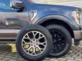 Ford F 150 4WD UNFALLFREI/1.HAND/AHK/NP ca. 102000€! Grey - thumbnail 14