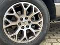 Ford F 150 4WD UNFALLFREI/1.HAND/AHK/NP ca. 102000€! Grey - thumbnail 13