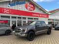 Ford F 150 4WD UNFALLFREI/1.HAND/AHK/NP ca. 102000€! Grey - thumbnail 1