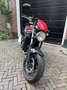 Suzuki SV 650 Suzuki SV 650 A2 8100km inc. kofferset en tanktas Rojo - thumbnail 12