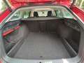 Skoda Octavia Combi 1.5 TSI First Edition Panoramadak - Wegklapb Rood - thumbnail 26