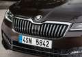 Skoda Superb 2.0 TDI Plus DSG 110kW Gris - thumbnail 32