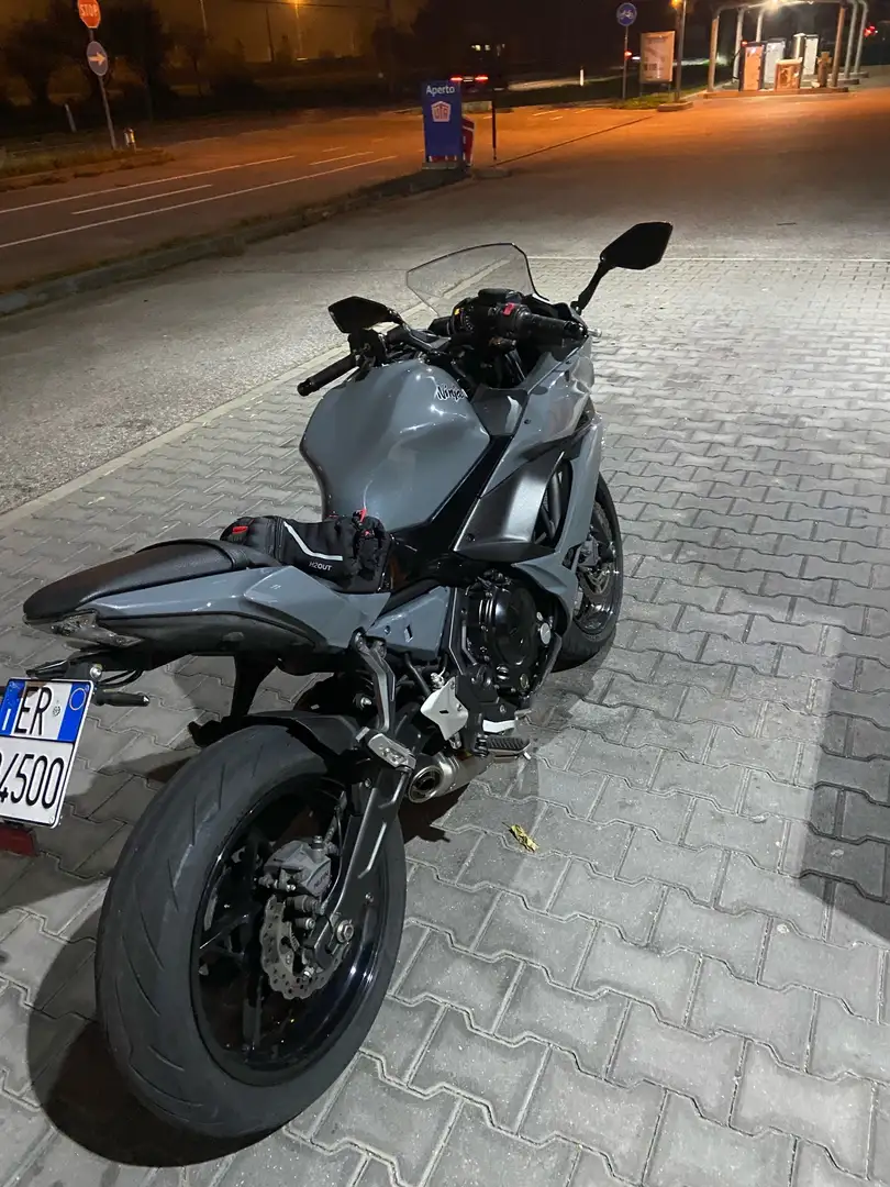 Kawasaki Ninja 650 Grau - 1